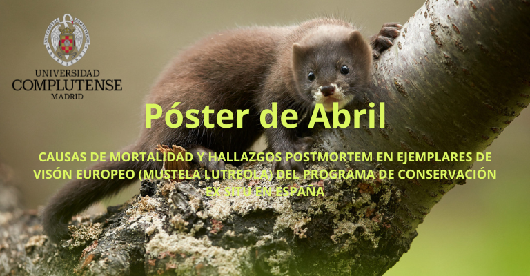 Causas de Mortalidad y Hallazgos Postmortem en Ejemplares de Visón Europeo del Programa de Conservación Ex Situ en España